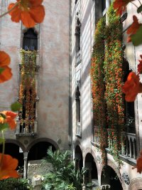 Nasturtiums-Display-2021-2_ISGM_Pore_2000x1500.jpg