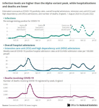 ONS: Infection levels are higher than the Alpha variant peak, while hospitalisations and deaths are lower (8 July 2022).