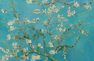 Almond-Blossom-by-Van-Gogh-WEB-SWATCH-820x532-820x532.jpg