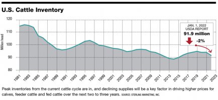 US-Cattle-Inventory-2022.jpg