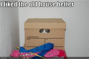 liked old house better.jpg