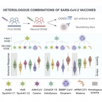 Heterologous combinations of SARS-CoV-2 vaccines, graphical abstract.