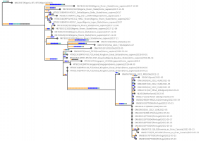 Current MPXV outbreak clade tree, 1971-present.