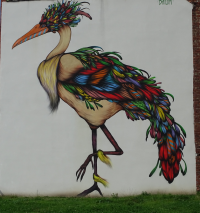 a peacock on a plastered wall on the street