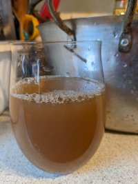 A glass of cloudy brownish juice