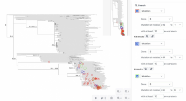 Recent SARS-CoV-2 omicron phylogenetic tree (Taxonium).