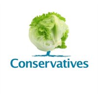 tory-logo_600x600.jpg