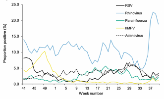 Respiratory DataMart weekly positivity (%) for other respiratory viruses, England (UKHSA, 13 October 2022, Weekly national Influenza and COVID-19 surveillance report, Week 41 report (up to week 40 data)).