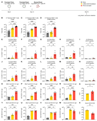 Heterologous intranasal boosting with SARS-CoV-1 spike enhances pre-existing SARS-CoV-2-specific immunity and broadens reactivities to SARS-CoV.