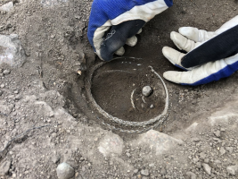 silver neck rings still partially in the ground