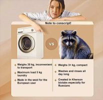 In-Russia-racoon-is-called-raccoon-that-rinses-no-wonder-they-stole-several-poor-things-from-K...jpg