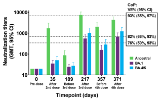 Neutralising (ID50) antibody titres by dose for the ancestral (WT), BA.1, and BA.4/BA.5 variants. The dotted lines indicate correlates of protection (CoP) titres as derived for the ancestral strain with corresponding vaccine efficacy (VE).