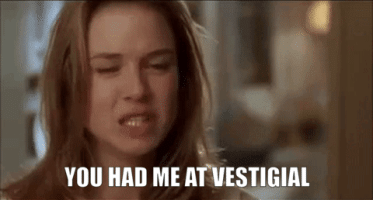 YOU HAD ME AT VESTIGIAL.gif