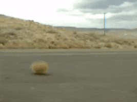 tumbleweed-gif-6.gif