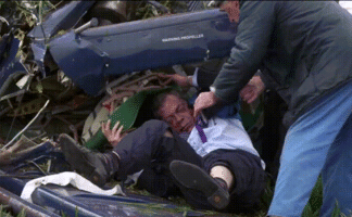 BRISTLEKRS - FARAGE PLANE CRASH - TOP GUN - HE PROCEEDED BELOW THE HARD DECK WE WERE BELOW FOR...gif