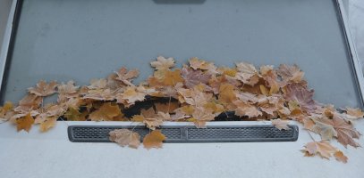 autumn_windscreen.jpg