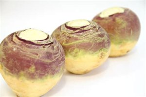 Three turnips. Purplish skin at the top, with green tinges, and yellowish at the bottom.