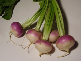 Turnips.jpg