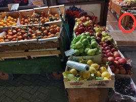 In Hash Tag’s photo of his local greengrocer, as well as the colourful fecundity on display, inside the door, under a table, a case of amber liquid in plastic bottles is circled by a red ring. Could this be a case of Irn Bru waiting for a space on the shelves? 