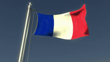 france-flag.gif