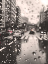 rain-768x1024.jpg