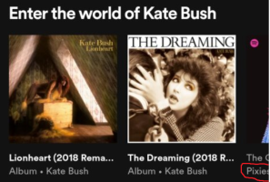 world of kate bush.png