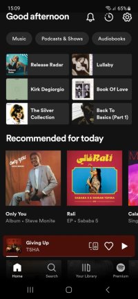 Screenshot_20230403_150948_Spotify.jpg