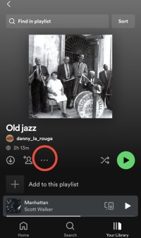 A screen shot of a Spotify playlist. A red circle highlight three dots.