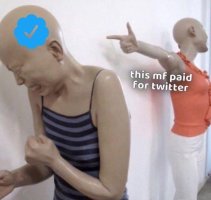 paidfortwitter.jpeg