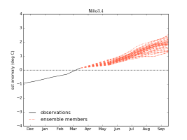 UKMO ENSO forecasts (red) projected on from observation (black), relative to the 1991-2020 mean.