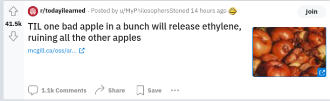 TIL one bad apple in a bunch will release ethylene, ruining all the other apples