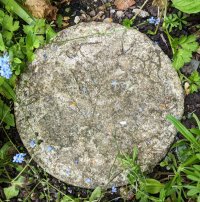 Another stepping stone with, allegedly, the very unclear imprint of a large vine leaf and tendrils