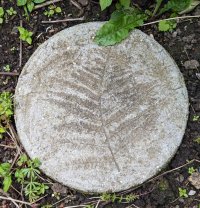 A round, grey, concrete stepping stone with the visible imprint of a fern frond