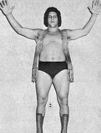 Jean_Ferré_-_Wrestling_Annual_n.4_-_1973_(filter).jpg