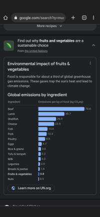 Screenshot of the same search but with the drop-down button pressed so it shows a bar graph of different foods' CO2 emissions per kg