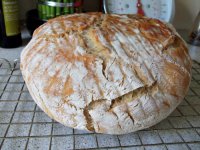 first sourdough.jpg