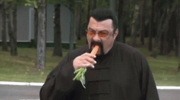 SEAGAL.gif