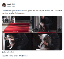 larry the cat being removed from downing street red carpet before some bloke from america arrived to visit