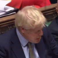 BORIS JOHNSON - FACEPALM - SHORT.gif