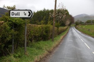 A road sign on a country road. It reads “Dull 1/4 of a mile” and indicated a right turn. 