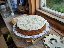 Picture of a large round sponge cake in one layer, with lemon icing on top and poppy seeds scattered over that.