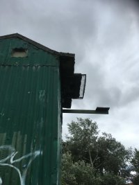 A green corrugated pigeon shed in Maryhill.