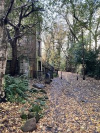 A back lane in Hillhead. There are leaves on the ground. 