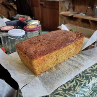 Picture of a tall rectangular loaf shaped cake cooling on a rack on my kitchen table 