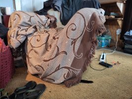 Photo of an armchair with a blanket draped over the seat and arms and hanging down to the floor. A cat is hiding behind the blanket, in the spot where a person's feet would be if they sat in the chair - all that's visible is the cat's tail poking out from the edge of the blanket.