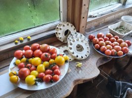 Two plates full of mixed red and yellow tomatoes on a windowsill