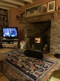 A dog is asleep on a rug in front of a log burner. 