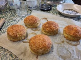 Five really big scones with melted cheese on top, cooling on a rack on my kitchen table 