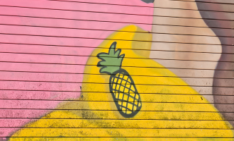 pineapple painted on to a security shutter