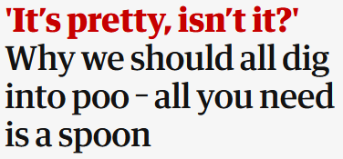 Guardian headline reading 'It's pretty, isn't it?  Why we should all dig into poo - all you need is a spoon'